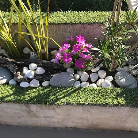 Appartement T1 Plain Pied Le Cannet-des-Maures Dış mekan fotoğraf