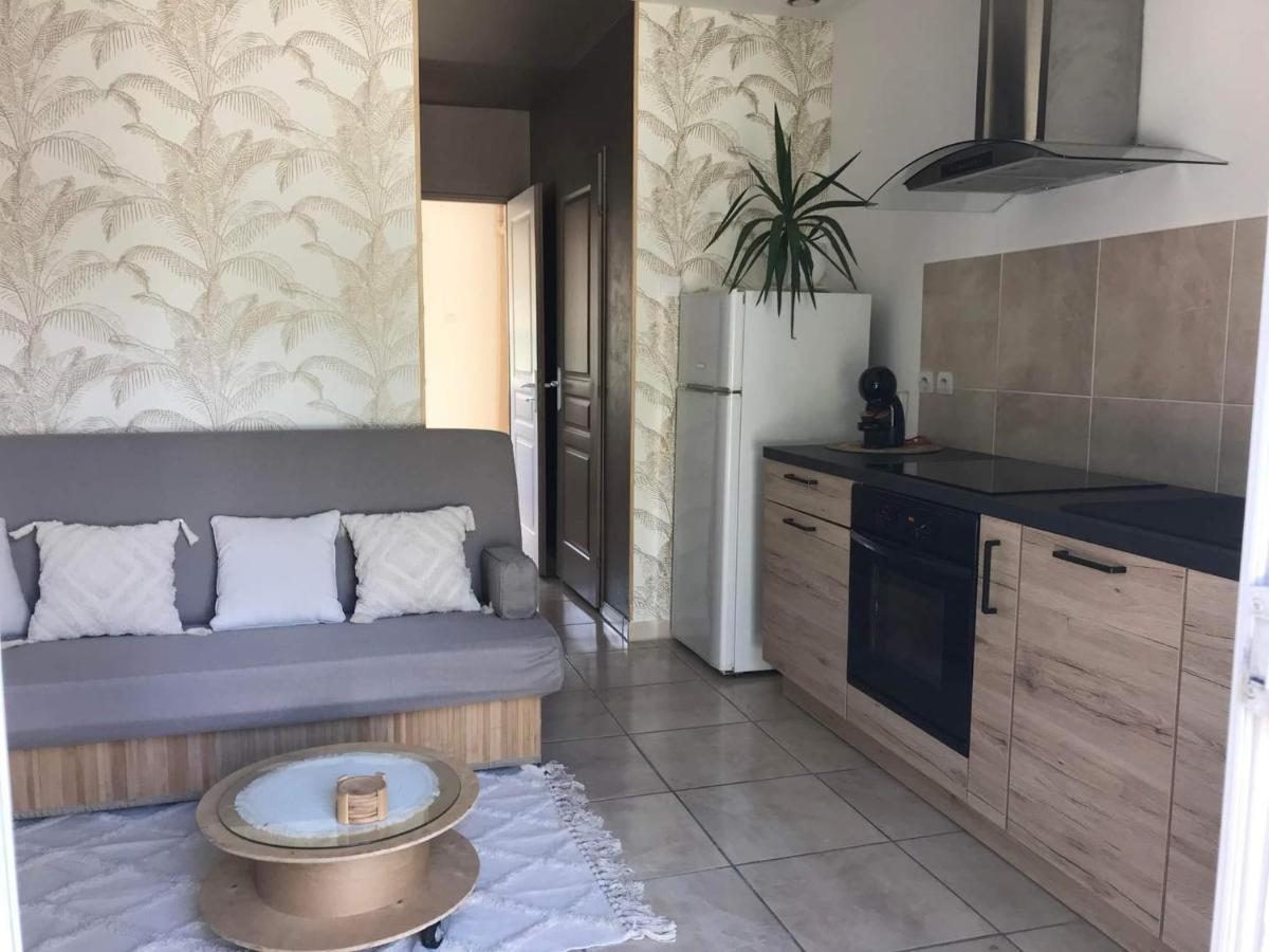 Appartement T1 Plain Pied Le Cannet-des-Maures Dış mekan fotoğraf