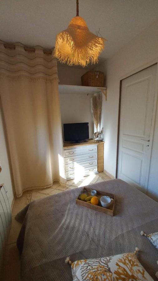 Appartement T1 Plain Pied Le Cannet-des-Maures Dış mekan fotoğraf