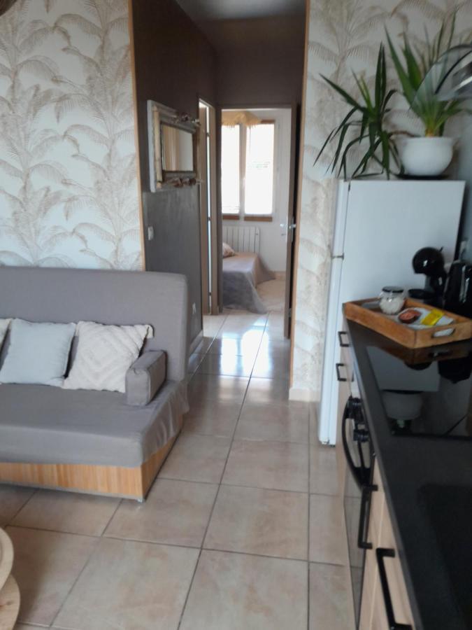 Appartement T1 Plain Pied Le Cannet-des-Maures Dış mekan fotoğraf